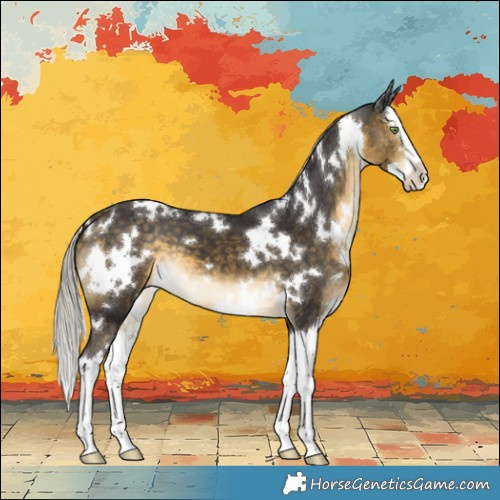 Horse Color:White Spotted Silver Buckskin Splash 