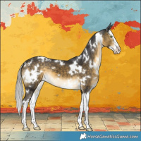 Horse Color:White Spotted Silver Buckskin Splash 