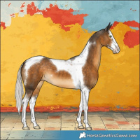 Horse Color:Chocolate Palomino Sabino Splash Tobiano 