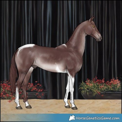 Horse Color:Platinum Chocolate Brown Tobiano 