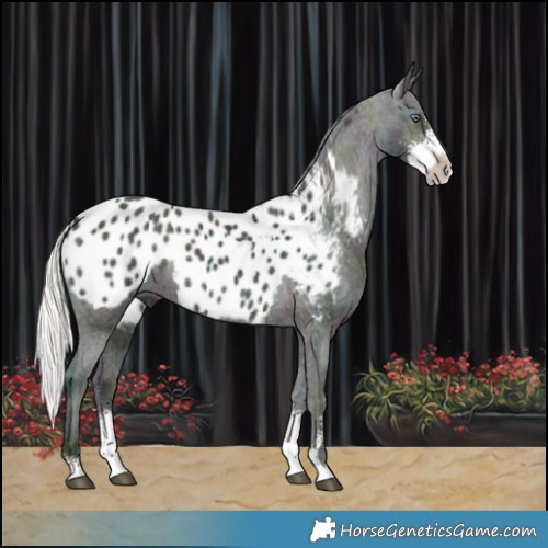 Horse Color:Watercolor Midnight Silver Buckskin Chinchilla Ice Sabino Blanket 