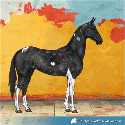 Horse Color:Midnight Smoky Black Chinchilla Ice Tobiano 