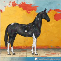 Horse Color:Midnight Smoky Black Chinchilla Ice Tobiano 