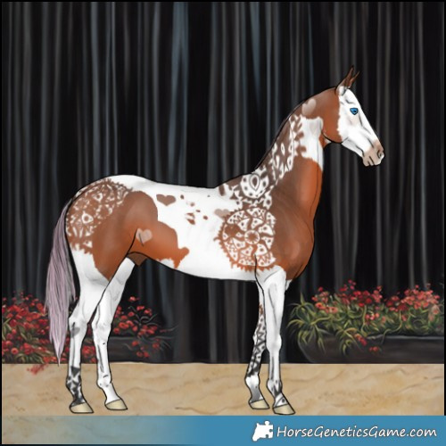 Horse Color:Painted White Spotted Bay Splash Tobiano 