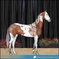 Horse Color:Painted White Spotted Bay Splash Tobiano 