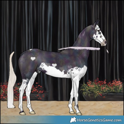 Horse Color:Watercolor Midnight Silver Smoky Black Ice Splash 