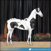 Horse Color:Painted Midnight Black Ice Splash Tobiano 