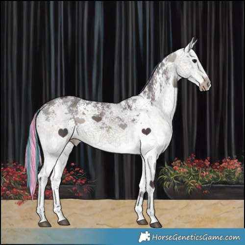 Horse Color:Painted Watercolor White Spotted Midnight Brown Ice 