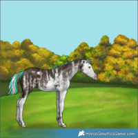Horse Color:Painted White Spotted Midnight Bay Pearl Splash
