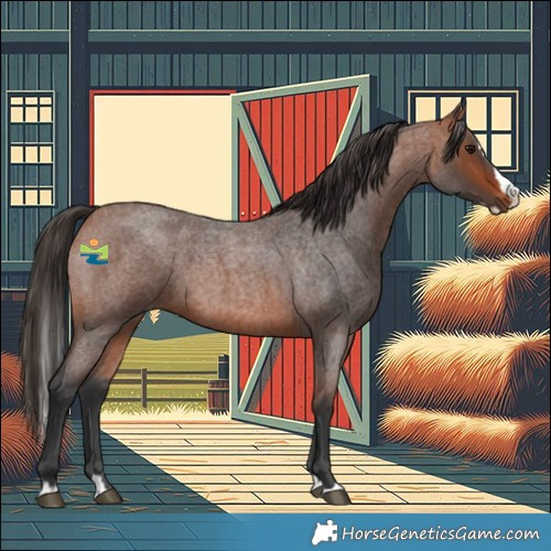 Horse Color:Bay Roan Splash 