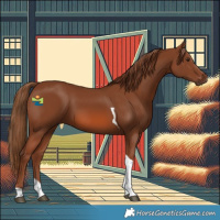 Horse Color:Chestnut Tobiano 