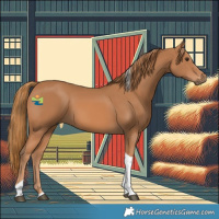 Horse Color:Chestnut Tobiano 