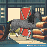 Horse Color:Blue Roan Tobiano 