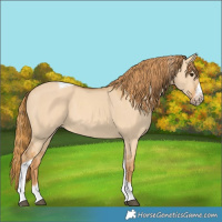 Horse Color:Red Dun Tobiano Frame