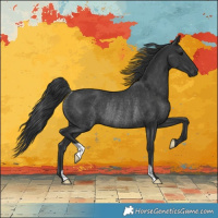 Horse Color:Black Rabicano 