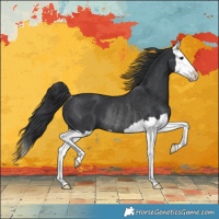 Horse Color:Black Splash Rabicano 