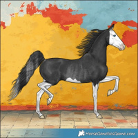 Horse Color:Black Splash Rabicano
