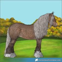 Horse Color:Silver Brown Dun 