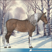 Horse Color:Silver Brown Dun Tobiano 