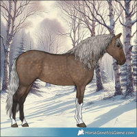 Horse Color:Silver Brown Dun Tobiano 