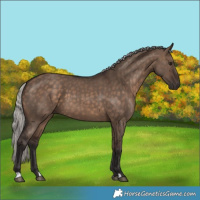 Horse Color:Silver Brown Dun 