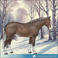 Horse Color:Silver Brown Dun Splash 