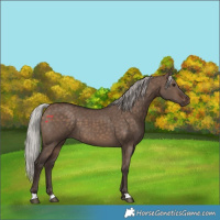 Horse Color:Silver Brown Dun 