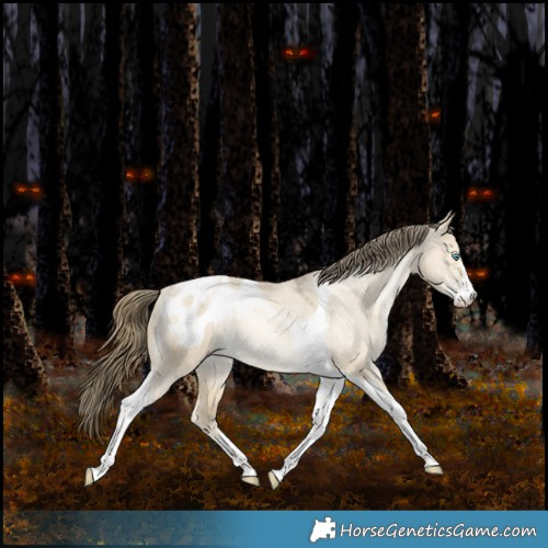 Horse Color:Bay Snowdrop Pearl Dun Sabino Tobiano Appaloosa Rabicano 