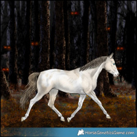 Horse Color:Bay Snowdrop Pearl Dun Sabino Tobiano Blanket Rabicano 