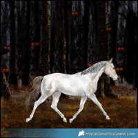 Horse Color:White Spotted Bay Pearl Dun Tobiano Appaloosa Rabicano