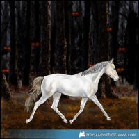 Horse Color:White Spotted Bay Snowdrop Dun Tobiano Varnish Rabicano 