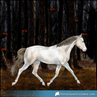 Horse Color:Bay Snowdrop Pearl Dun Sabino Tobiano Appaloosa Rabicano 