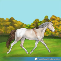 Horse Color:Bay Snowdrop Pearl Dun Sabino Tobiano Snowcap Rabicano 