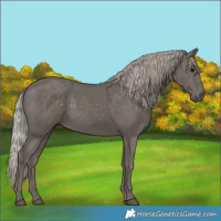 Horse Color:Silver Black