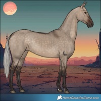 Horse Color:Silver Brown Dun