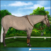 Horse Color:Silver Brown Dun