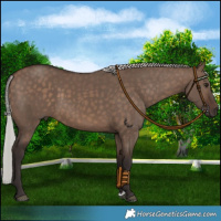 Horse Color:Silver Brown Dun 