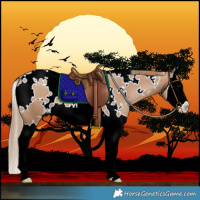 Horse Color:White Spotted Black Pearl Splash 