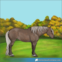 Horse Color:Silver Brown Dun