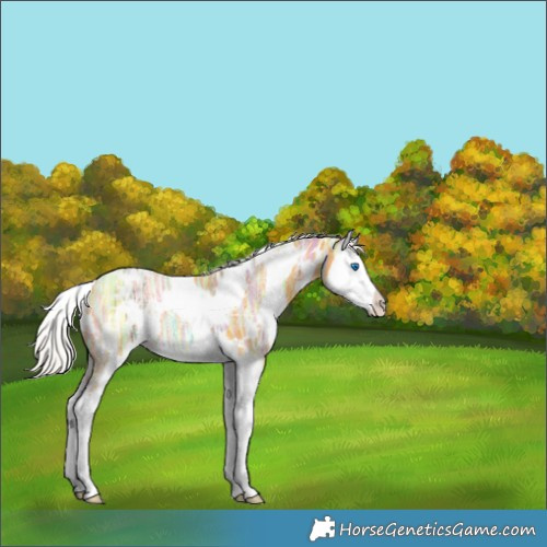 Horse Color:White Spotted Silver Buckskin Ice Splash 