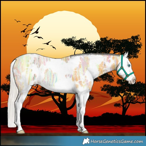 Horse Color:White Spotted Silver Buckskin Ice Splash 
