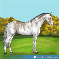 Horse Color:White Spotted Silver Brown Dun 