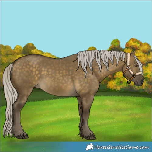 Horse Color:Silver Buckskin Dun