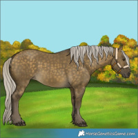 Horse Color:Silver Buckskin Dun 