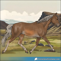 Horse Color:Chocolate Palomino 