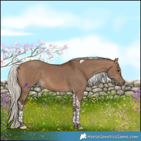 Horse Color:Silver Brown Dun Tobiano