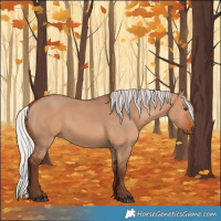 Horse Color:Silver Bay Dun