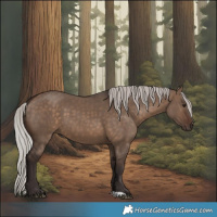 Horse Color:Silver Brown Dun 