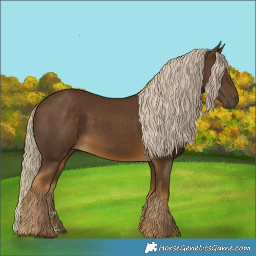 Horse Color:Chocolate Palomino 