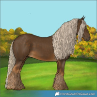 Horse Color:Chocolate Palomino 